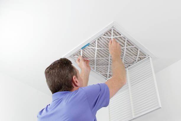 Best Local Air Duct Cleaning Services  in Lipscom, AL